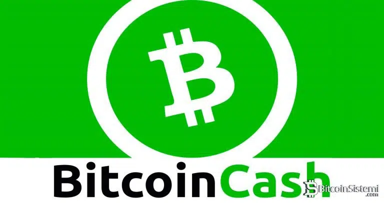 Bitcoin Cash ve Litecoin arasında kalanlar hangisini tercih etmeli?