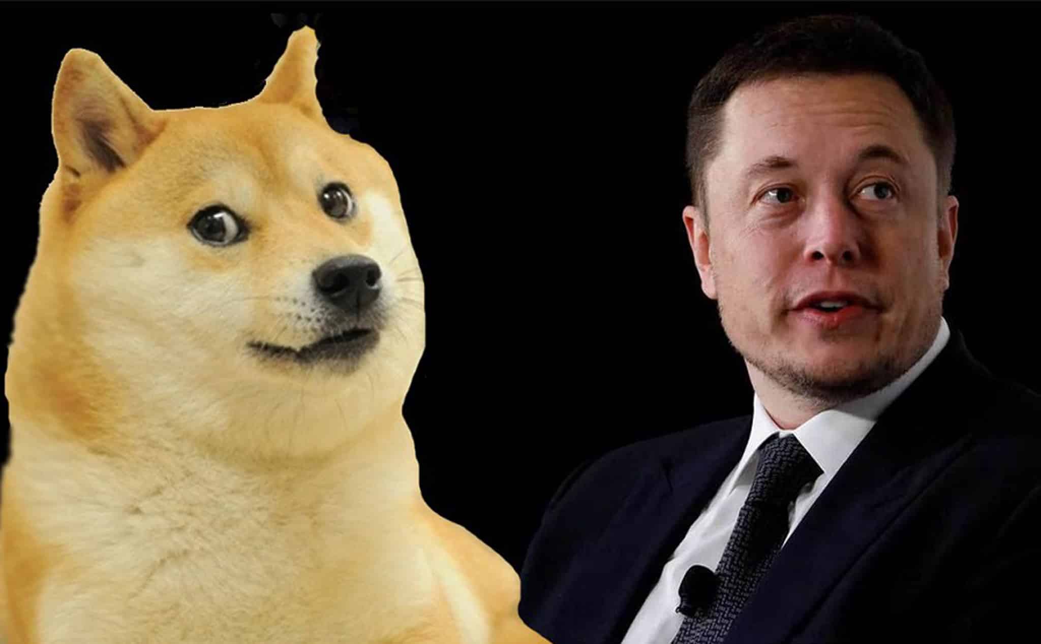Elon Musk disputes Dogecoin creator claim he can't run Python code