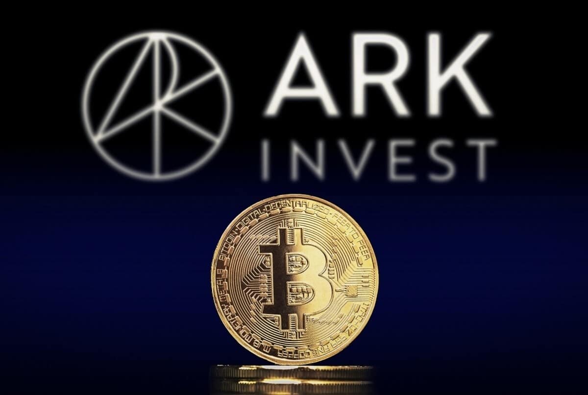 ark invest stock purchases