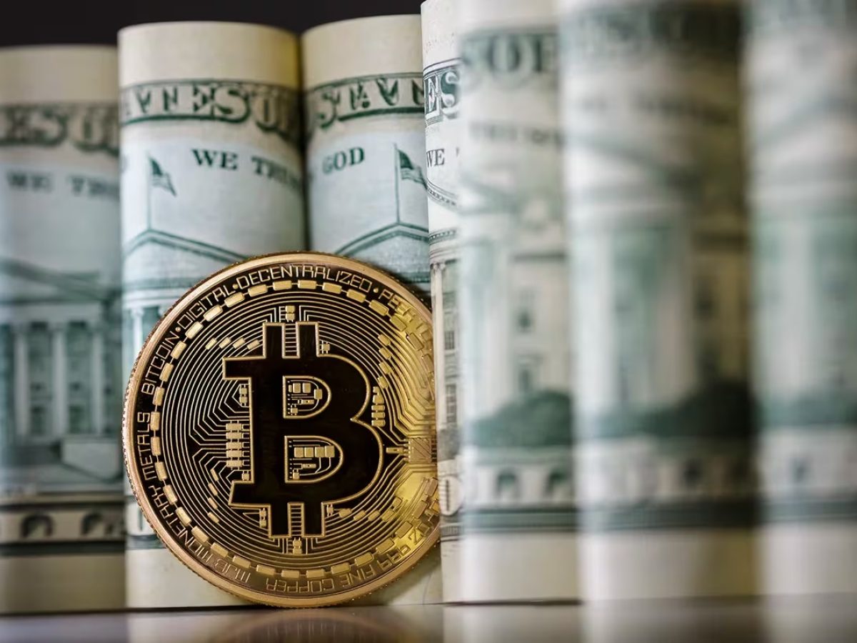 Bitcoin Fiyatı Kasım Ayında En Fazla Kaç Doları Görecek? İşte Tahminlere  Göre Oranlar! - Bitcoin Sistemi