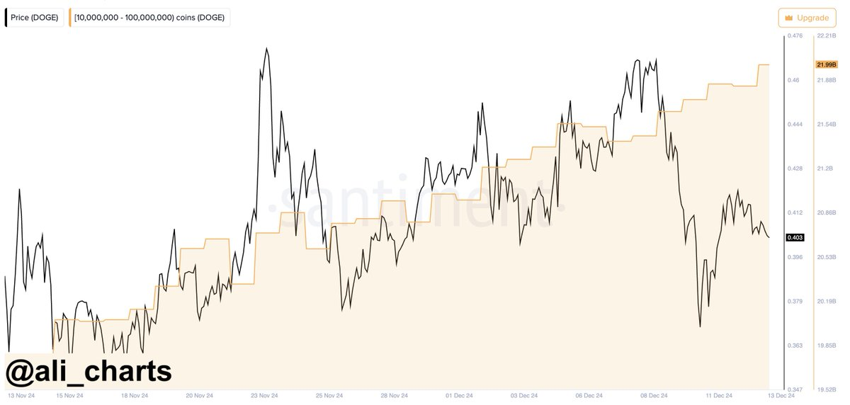 Kelime Görüntüsü
