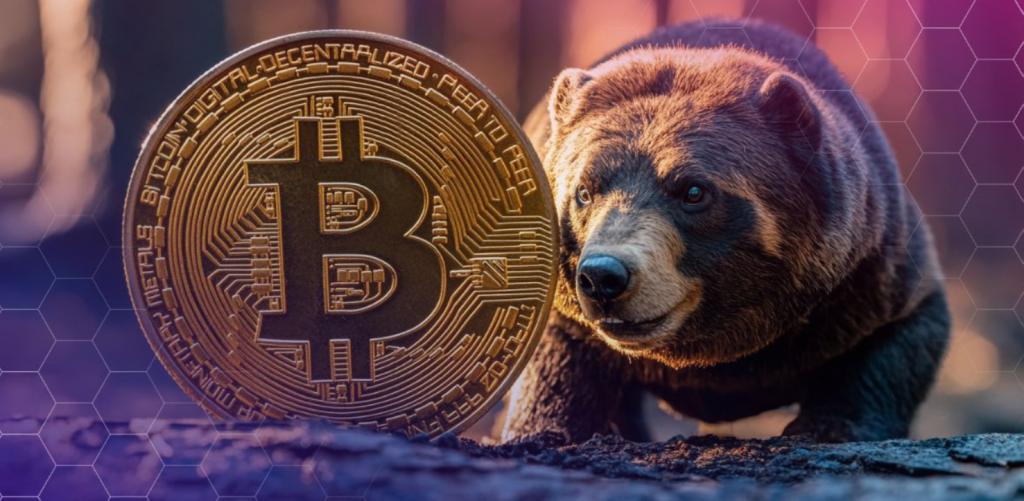 Bitwise CIO Compares 2018 and 2022: “We’re in a Bitcoin Bear Market, But More So Than Others…!”